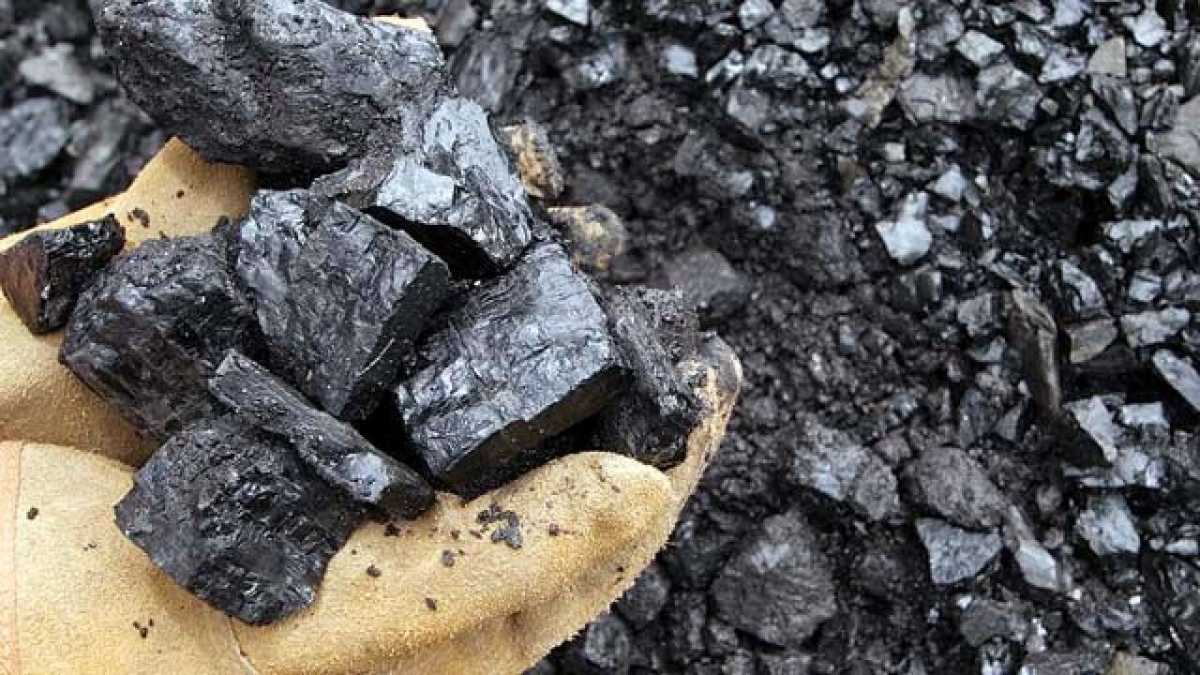 What is coal? What is coal used for?
